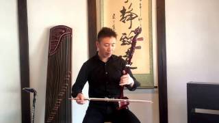 龍頭彫刻紫檀二胡 （試聴可） - 二胡の通販、卸販売なら|中国楽器専門