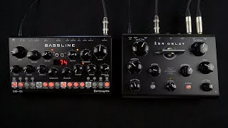 Erica Synths Zen Delay - フィルター/真空管オーバードライブ搭載