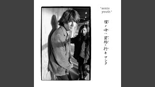 Sonic Youth（ソニック・ユース）『ホールド・ザット・タイガー』1987
