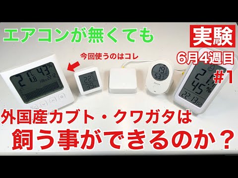 床下】エアコンが無くても、外国産カブト・クワガタは飼うことができる
