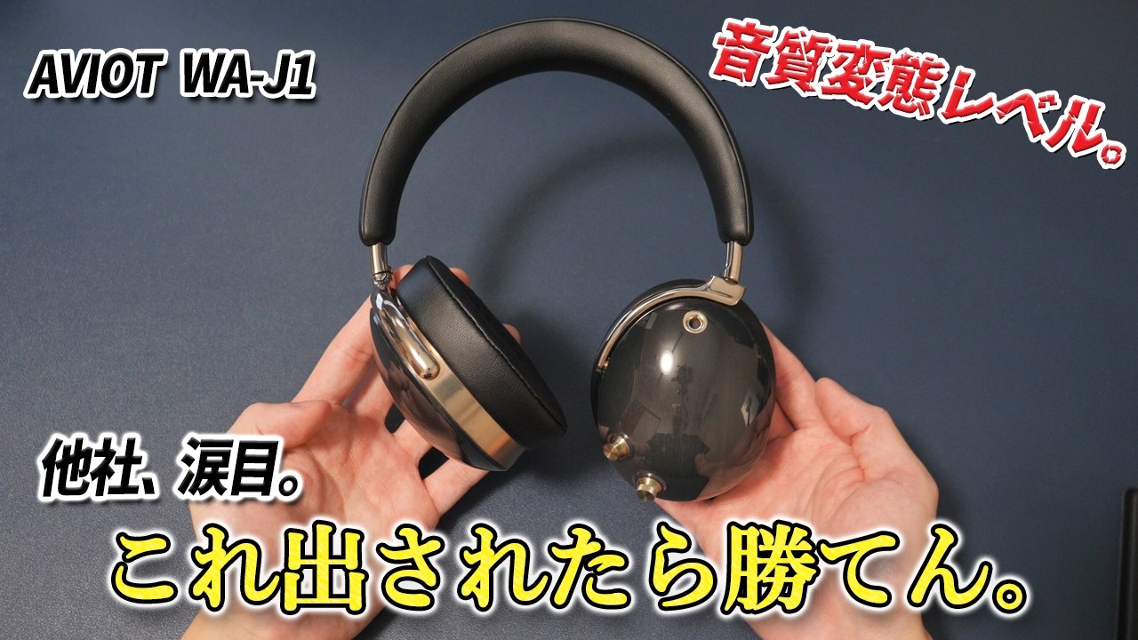 AVIOT「WA-J1」の評価が異様に高い！〜「トライブリッド3ドライバー