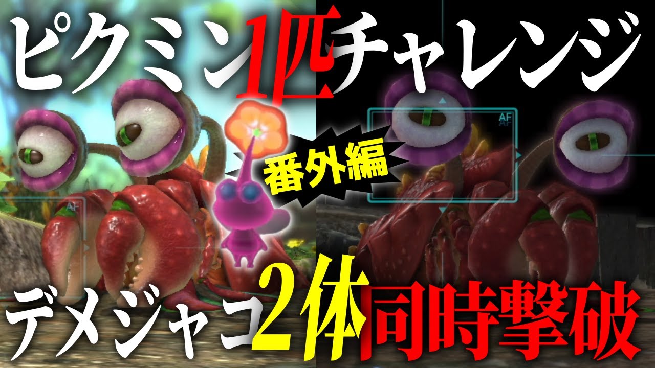 One Pikmin Challenge Extra Edition] Defeat two of the strongest