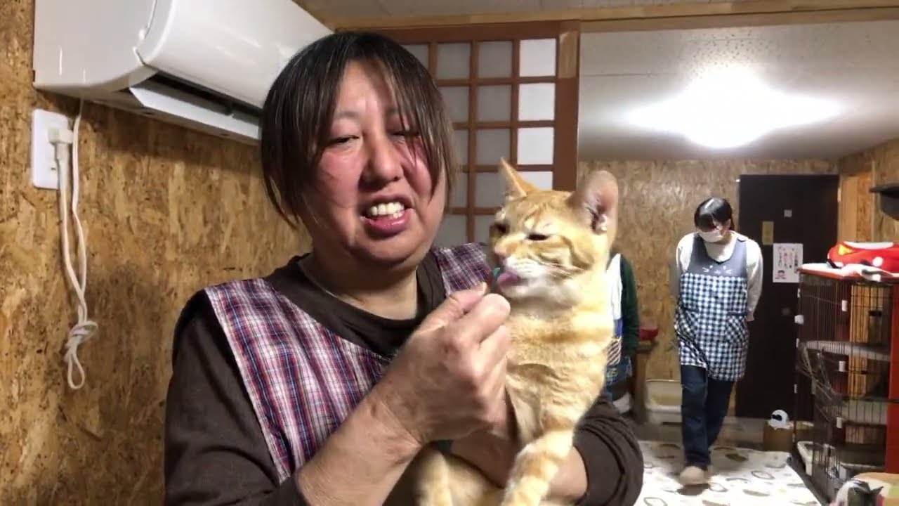 ライブアーカイブ】猫Live@笑にゃんこ王国(秩父) [Cat live] - YouTube