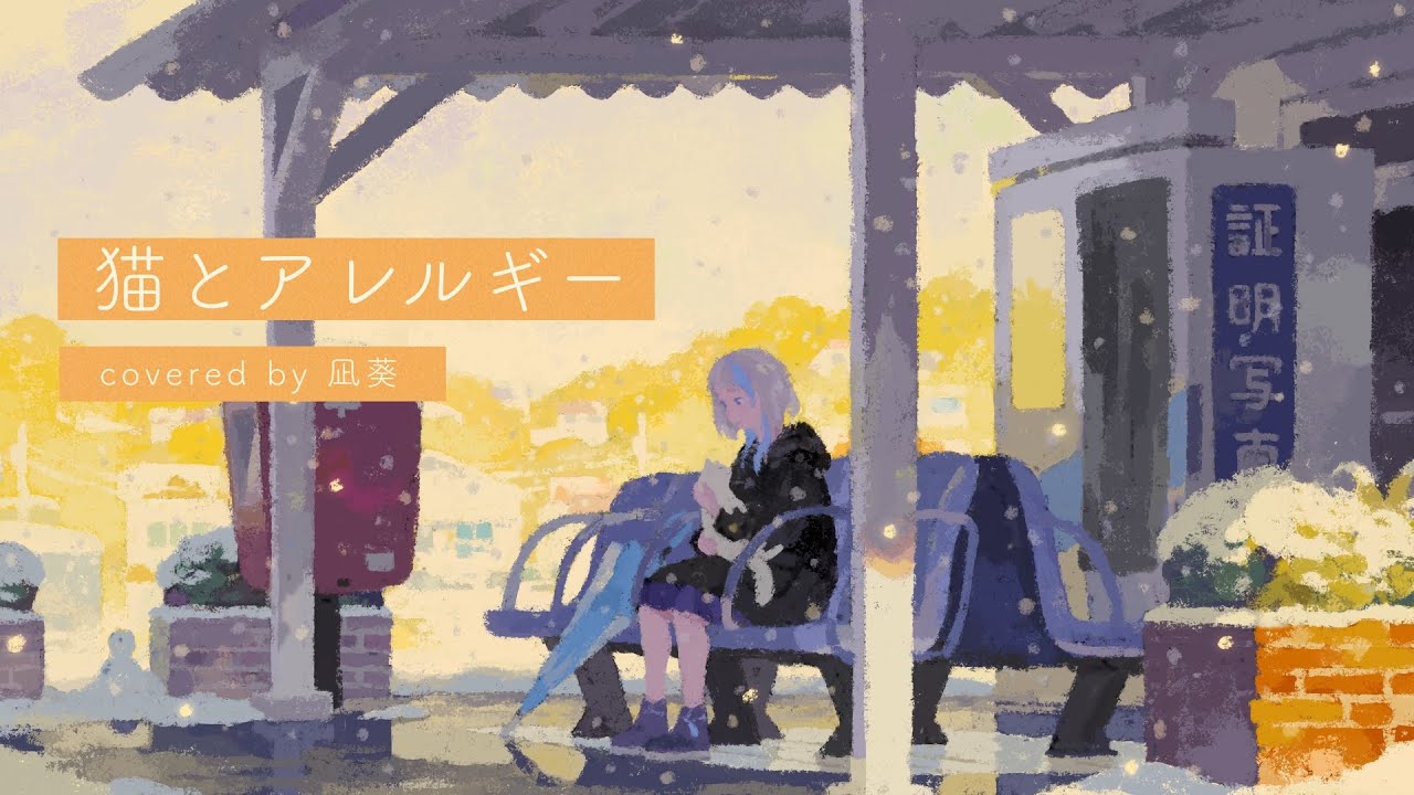 歌ってみた】猫とアレルギー / きのこ帝国 - YouTube