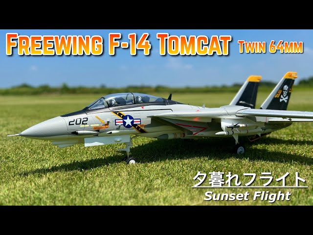 ラジコン飛行機 『F-14A トムキャット ジョリーロジャース』を飛ばして