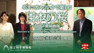 企画展「ボタニカルアートで楽しむ日本の桜 －太田洋愛原画展