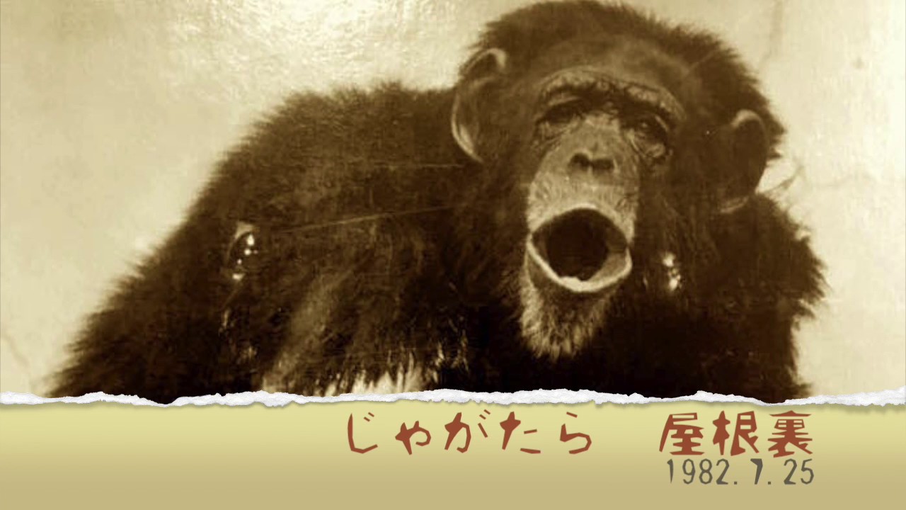 OBK】財団法人じゃがたら - Last Tango In Juku - YouTube