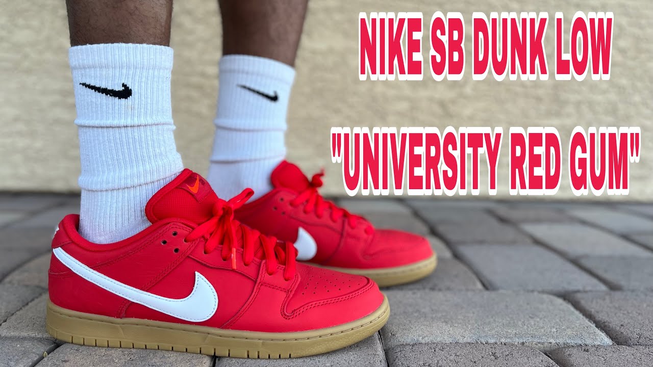 NIKE SB DUNK LOW 