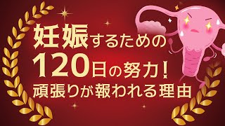 粟木原 出（あわきはら いずる） | ファンクショナルマッサージ治療院