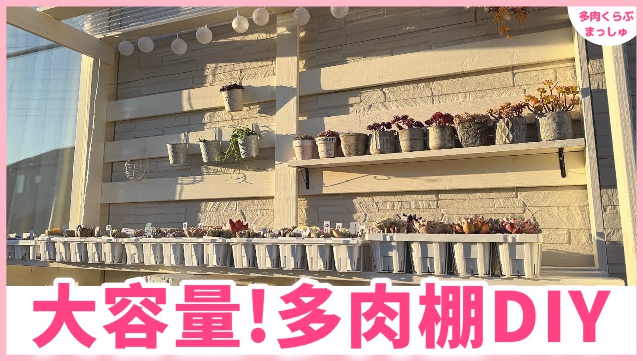 多肉植物】DIYど素人が作った大容量の屋根付き多肉棚❣️もう雨晒しに