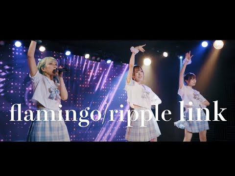 MV】flamingo/ripple link - YouTube