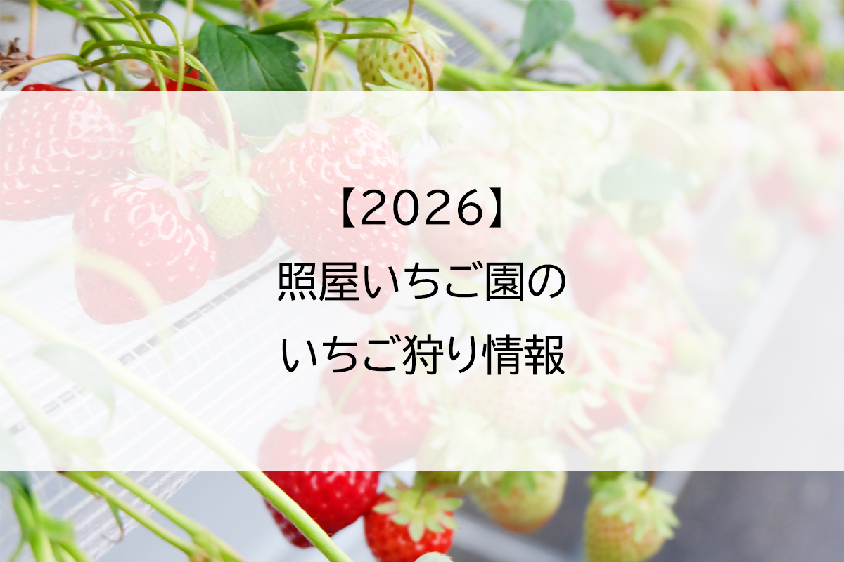 2026】株式会社ジェイエイやましろファームのいちご狩り情報