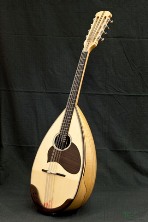 bnewTC-1.jpg