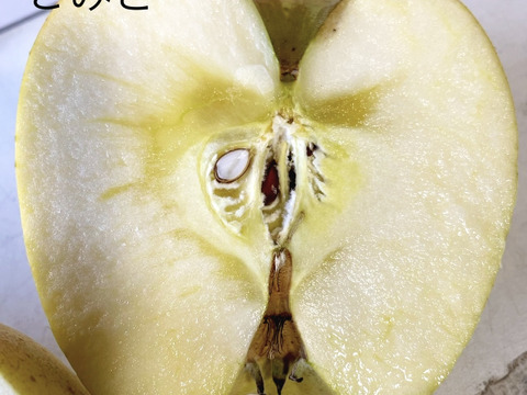 りんご いろいろBOX （2㎏）：岩手県産のシナノゴールド｜食べチョク