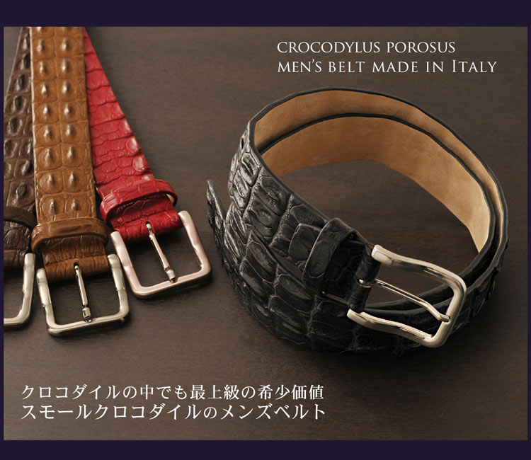 楽天市場】【5％OFFクーポン】イタリア製 ポロサス ホーンバック 背