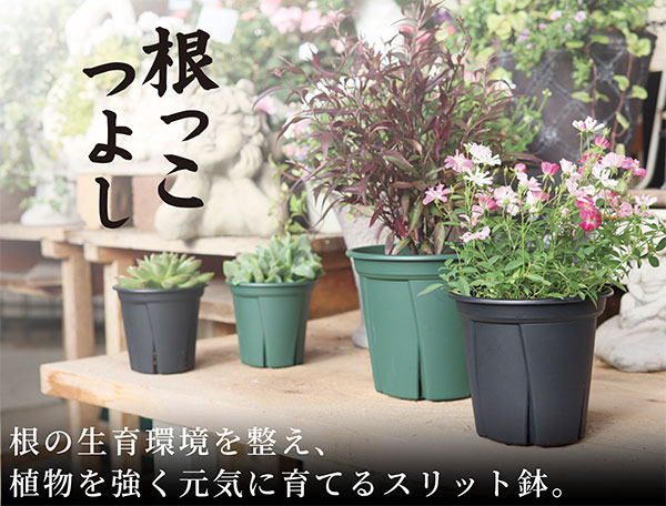 園芸ネット本店｜根っこつよし7号ブラック の通販【公式】