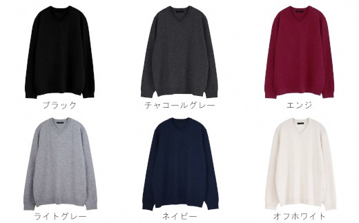 選べる カラー・サイズ 】 Vネックセーター カシミヤ 100% メンズ 日本