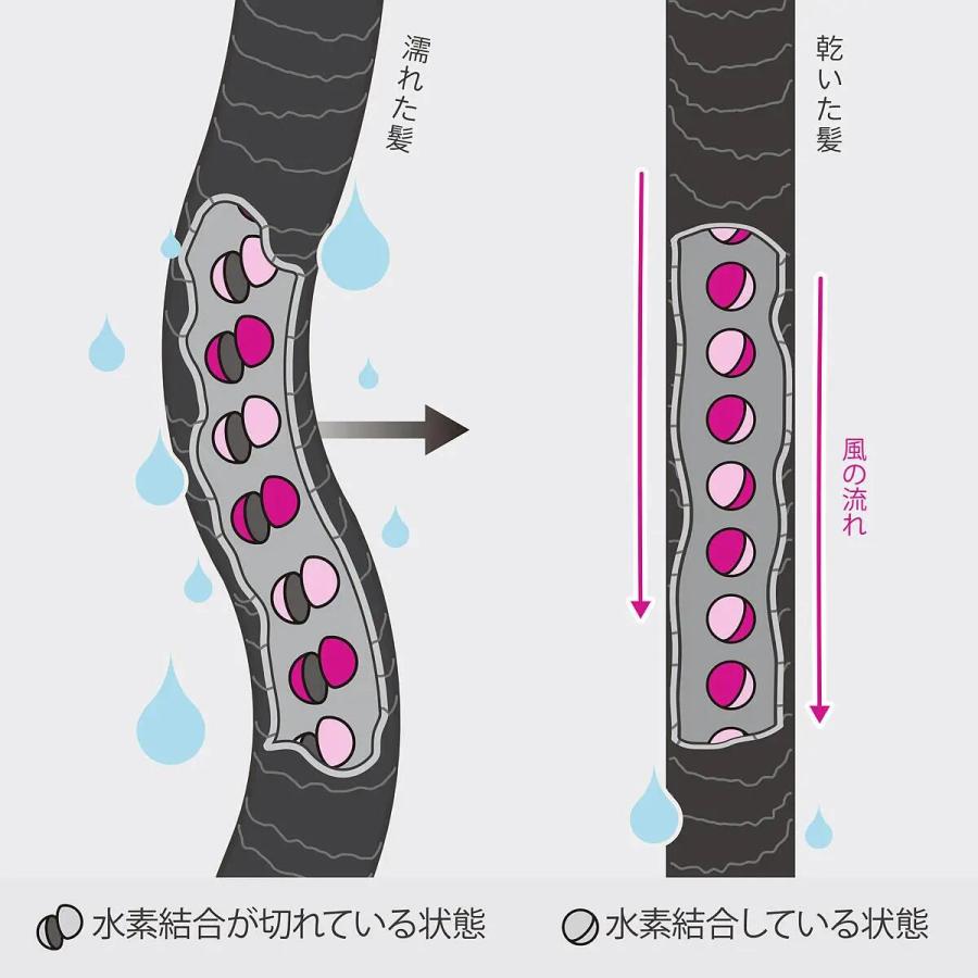 Dyson Airstrait ダークブルー/コッパー : ALBUM ONLINE STORE ヤフー
