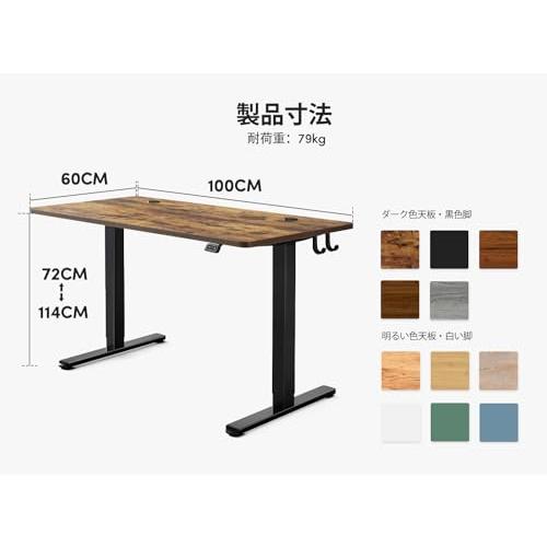 FEZIBO 電動 昇降式デスク スタンディングデスク 幅100cm 奥行60cm 高