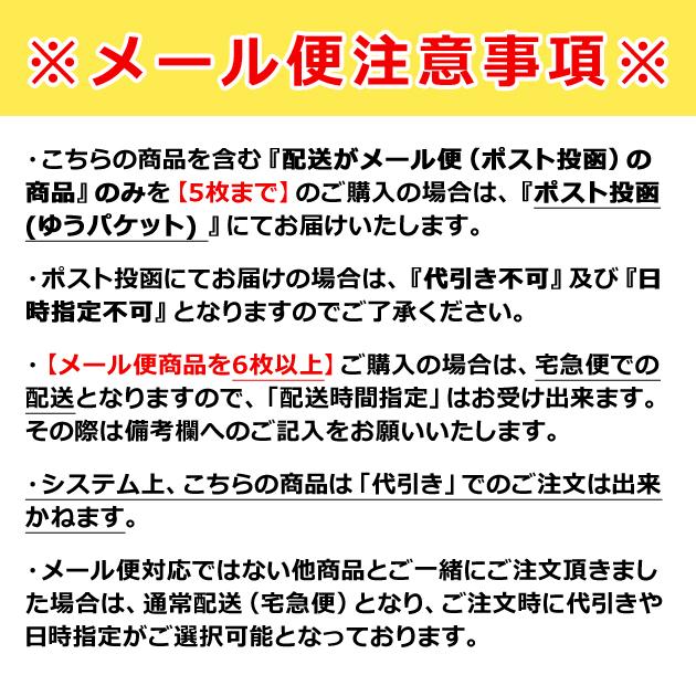 バッファロー・インディアン 純銀 コイン 1オンス クリアケース入り