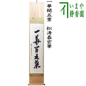 茶道具 掛軸 掛け軸 一行 春水満四澤 小林太玄筆 茶道 : 茶道具いまや