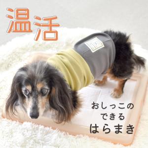 2026年3月】小物、アクセサリー（犬の服）のおすすめ人気ランキング