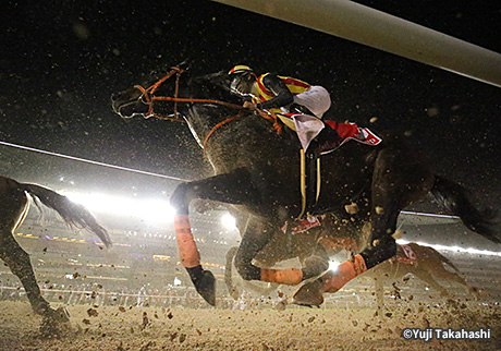 レース結果・回顧：2017年ドバイワールドカップ 海外競馬発売 JRA