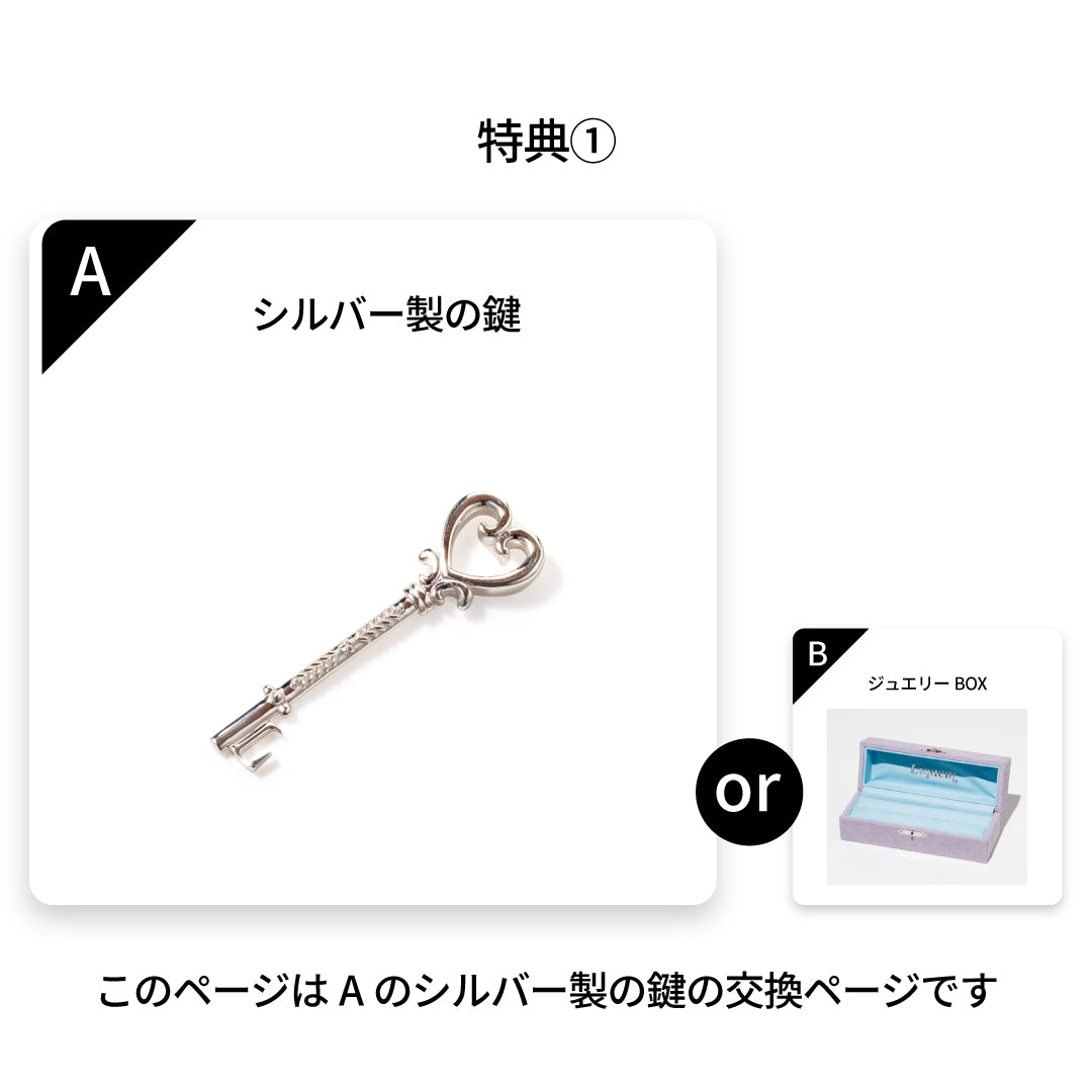 3000pt】シルバー製の鍵 – Liquem