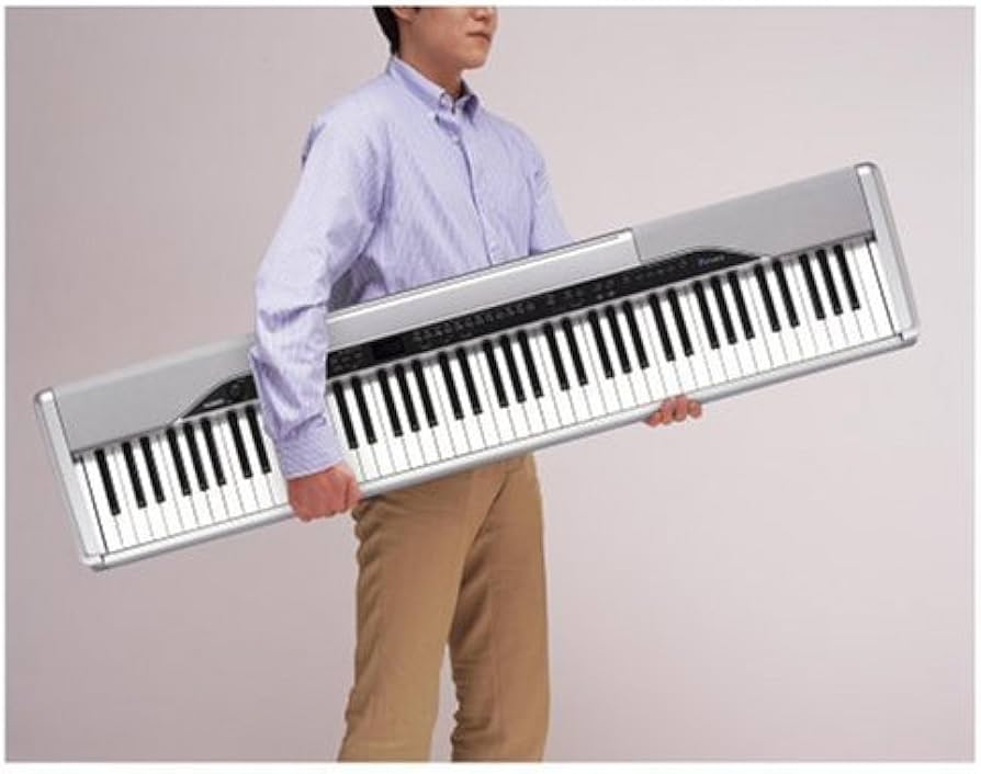 Amazon.co.jp: CASIO 電子ピアノ Privia PX-310 : 楽器・音響機器