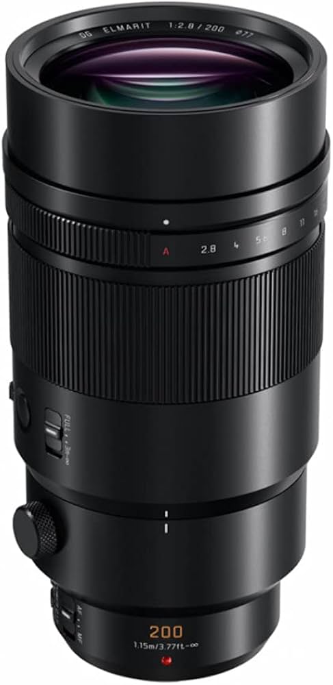 Amazon.com : PANASONIC LUMIX G Leica DG ELMARIT Professional Lens