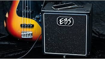 Amazon.com: EBS Session 30 Mk3 Compact 30W Bass Combo Amplifier
