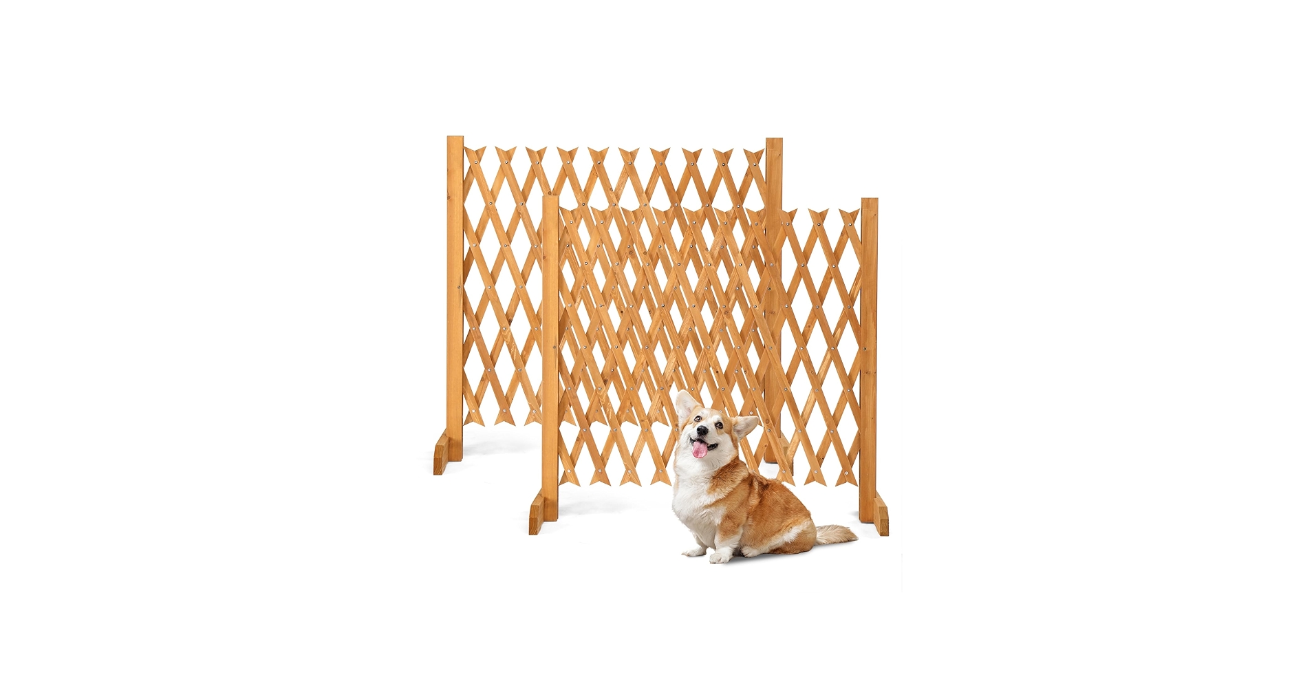 Amazon.com : VINGLI 2 Packs Extendable Garden Fence, 27.55 Inch