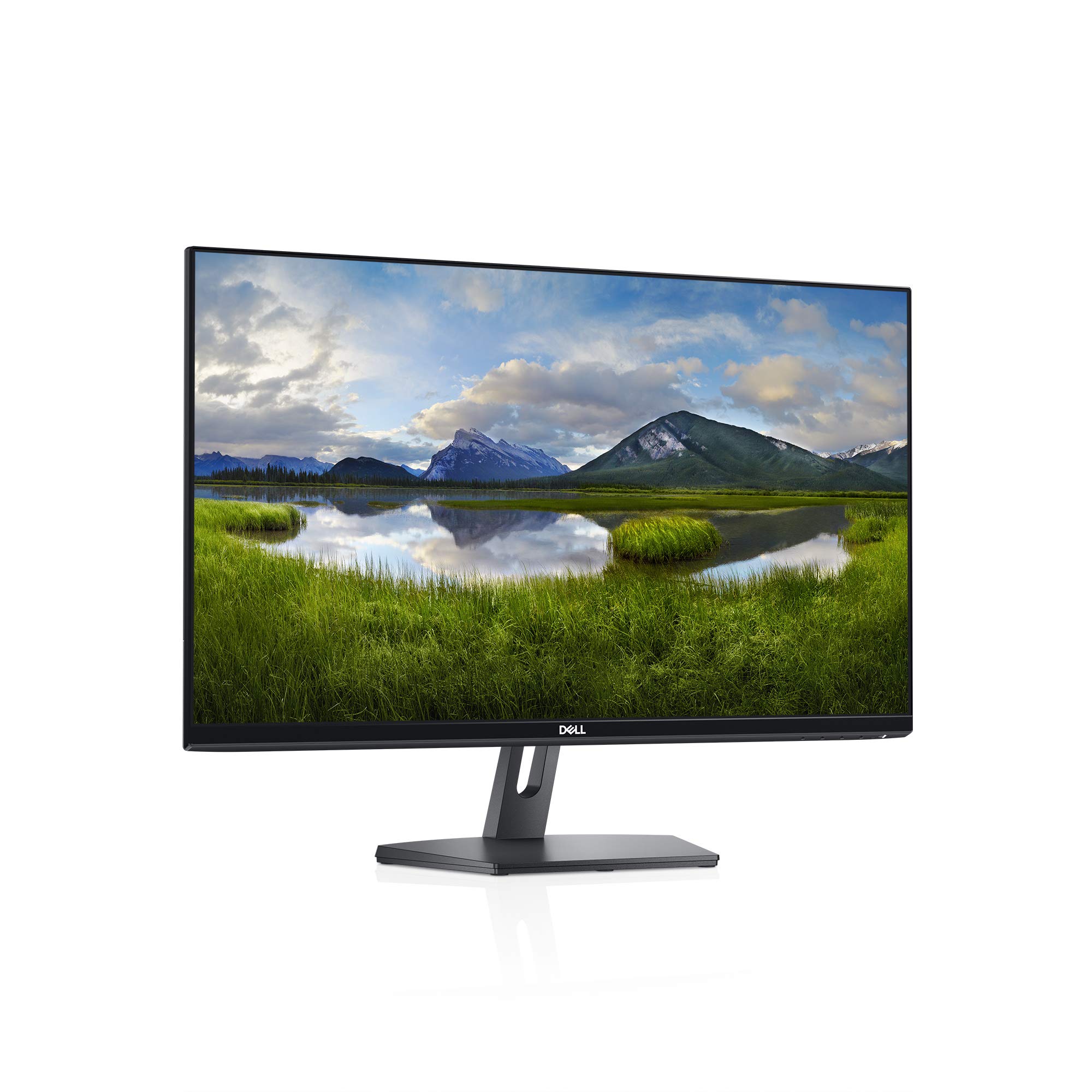 Amazon.com: Dell SE2419Hx 23.8