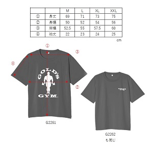 Amazon.co.jp: ゴールドジム(GOLD'S GYM) EXゴールズドライTシャツ