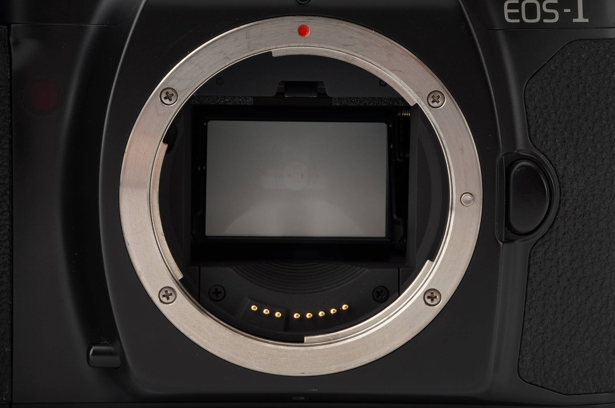 キヤノン Canon EOS-1 一眼レフフィルムカメラ – Natural Camera