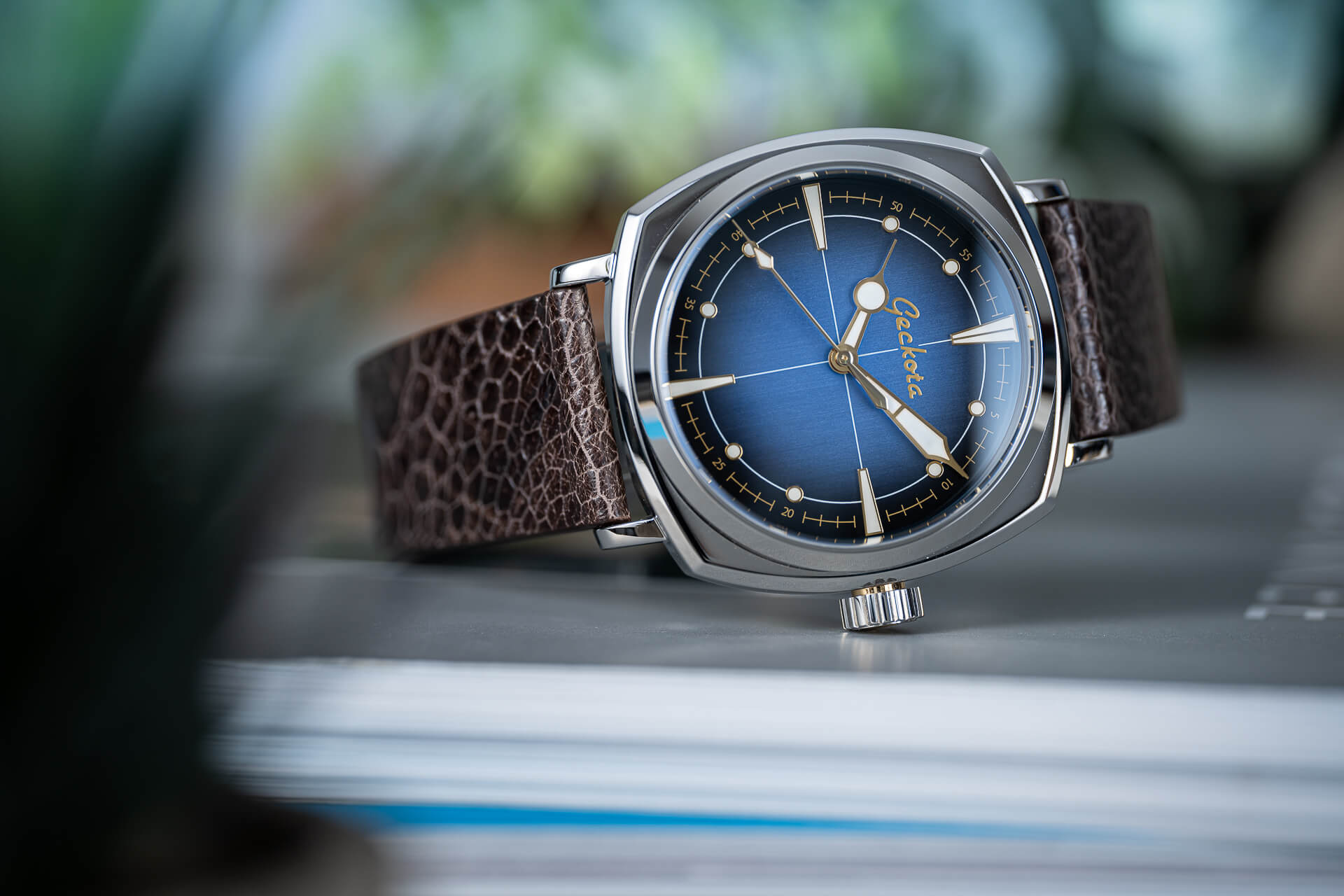 Geckota G-01 Pioneer Review - Watch Clicker