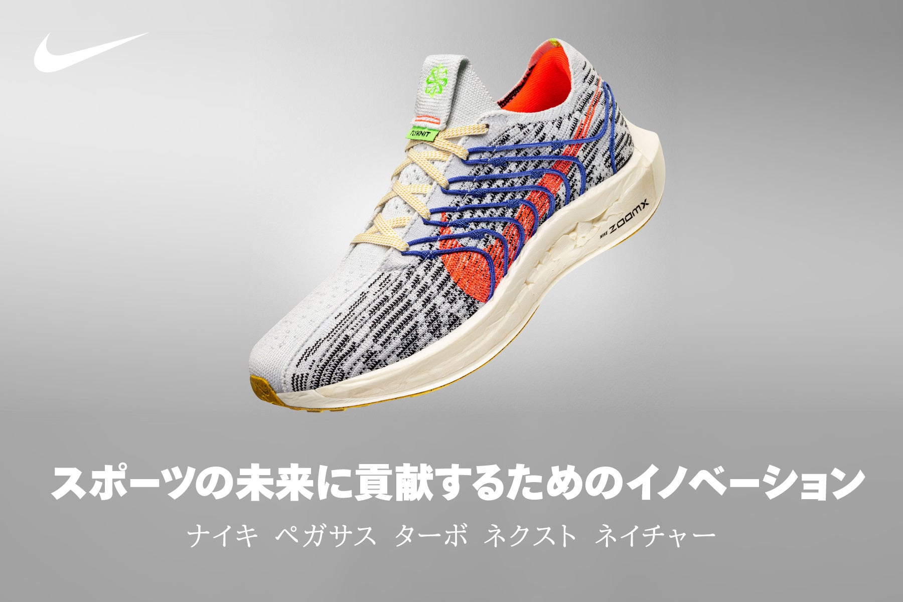 地球の未来のために】スポーツデポ・アルペン ナイキ ペガサス ターボ