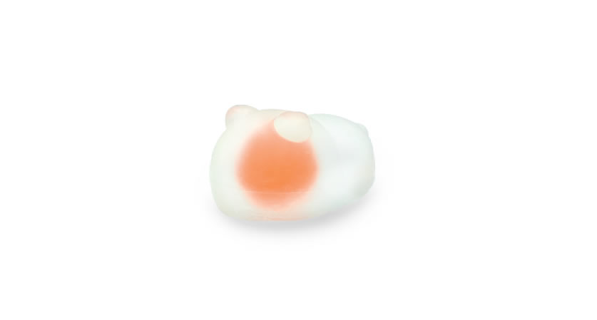 カプセル monimoni ANIMALS もにまるず® | Qualia