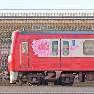 京急電鉄 新1000形（17次車）1201編成「三浦海岸 河津桜」号（海側