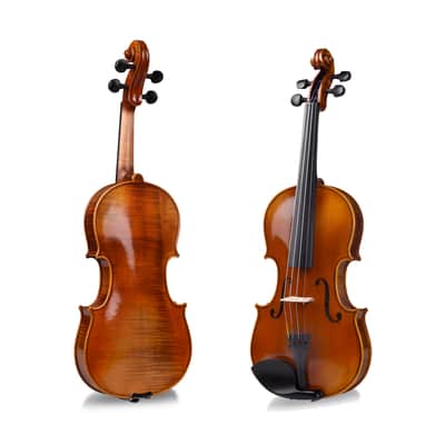 GEWA Mittenwald Karwendel 4/4 Size Violin with Case and Bow | Reverb