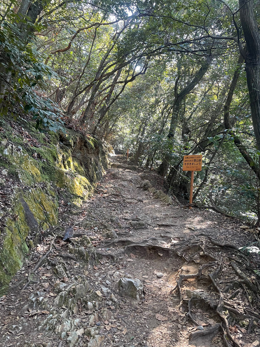 50歳過ぎて金華山で登山デビューしたよ！ - さくら個別ができるまで
