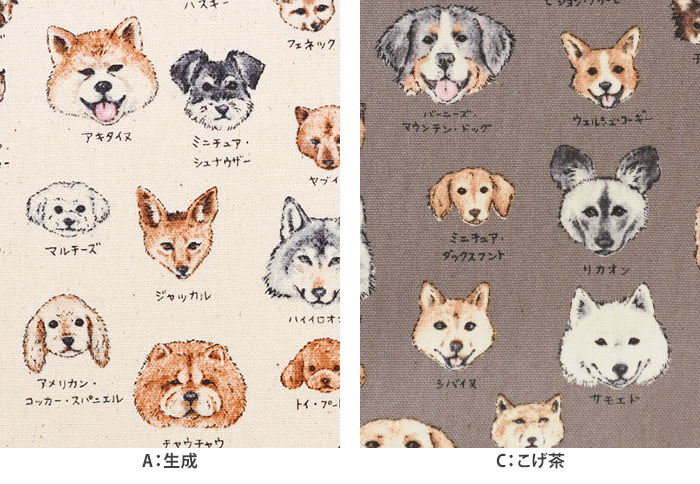 図鑑シリーズ イヌ科 オックス 手書き風 スケッチ ドッグ 犬 犬柄
