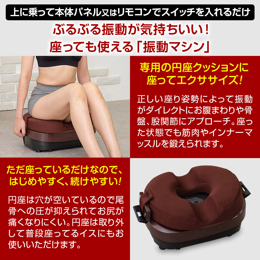 ブルブル振動マシン 正規品 ライフフィット 2Wayトレーナー スマート