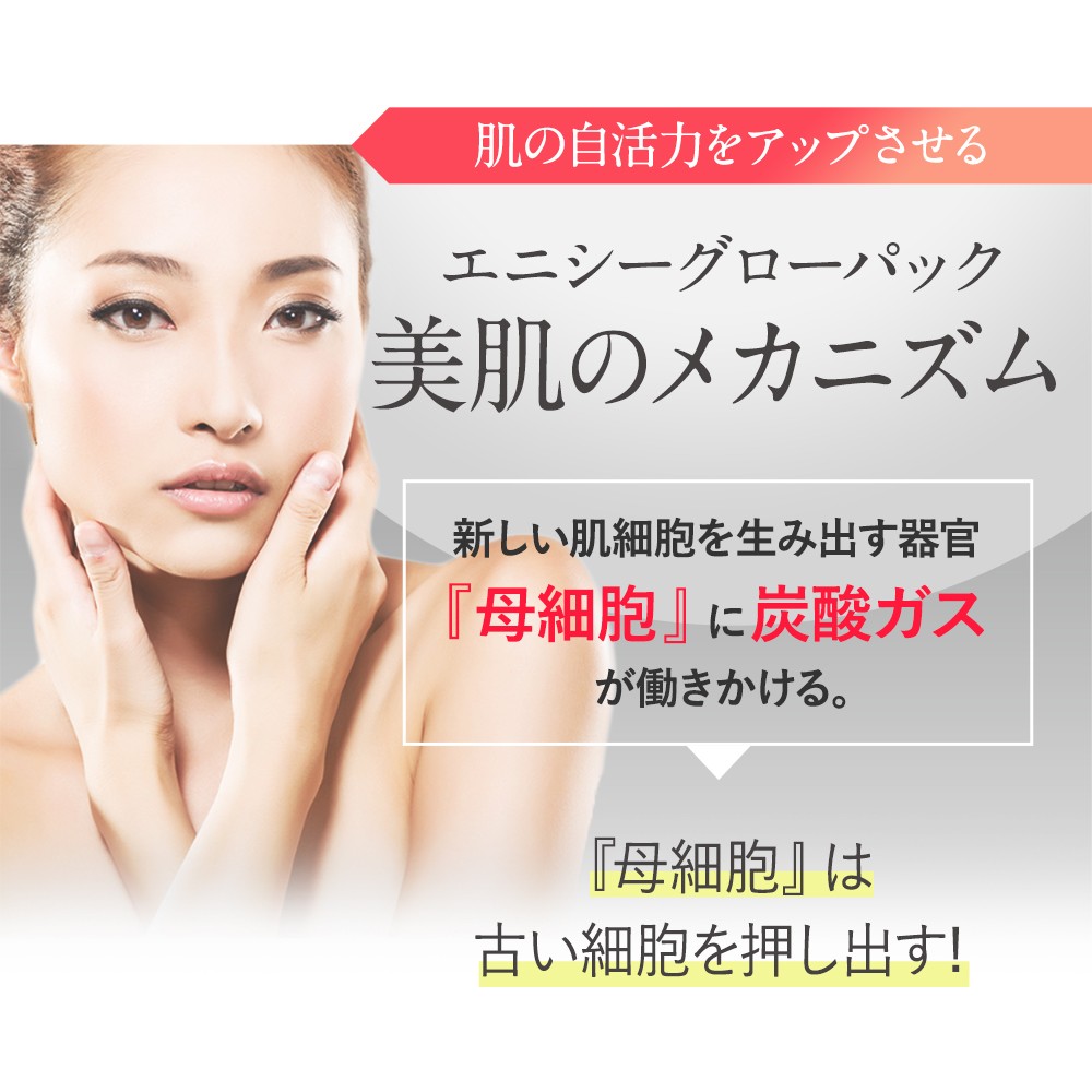 エニシー グローパック 10回分 2個セット 【リニューアル前商品】 送料