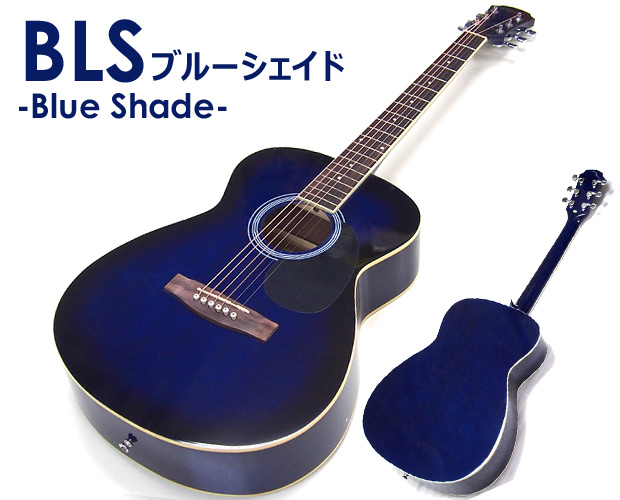 アコースティックギター アコギ 初心者 入門 スペシャル18点＋歌本付