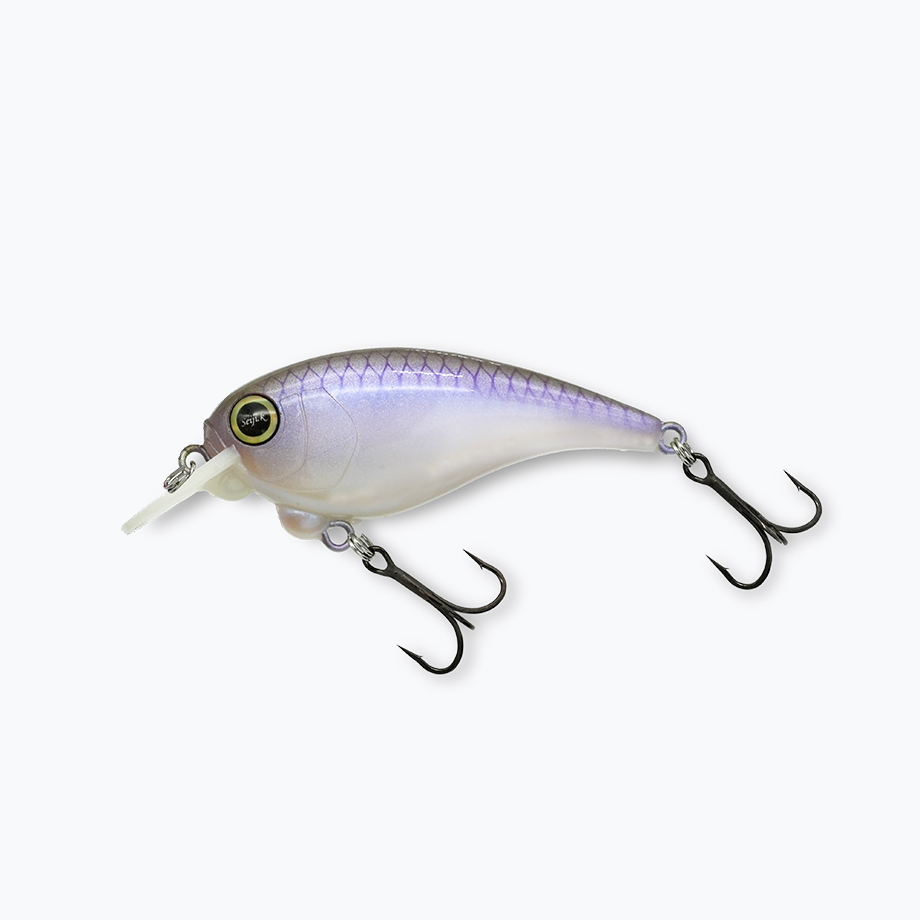 レヴォニック サラモア ドライボーン REVONIK SaraMoa DryBone : ふる