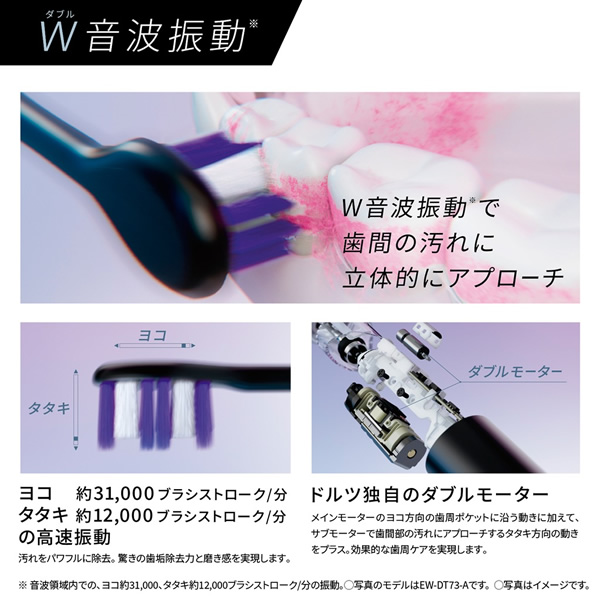 Doltz ドルツ 電動歯ブラシ パナソニック EW-DT63-N シャンパン