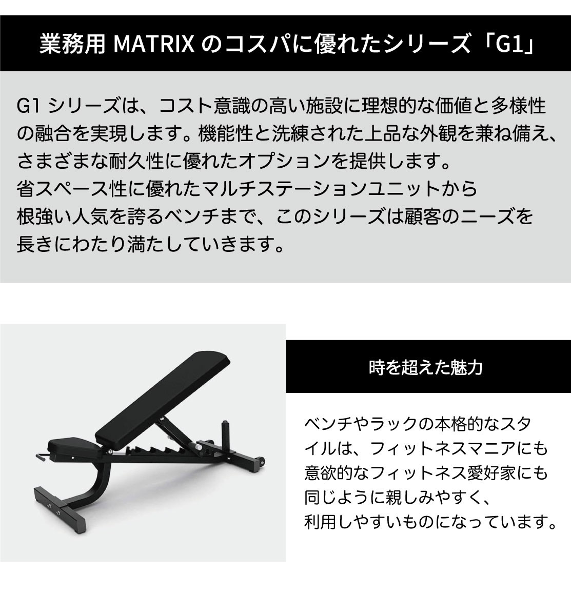 バックエクステンション G1-FW162 トレーニングベンチ 業務用 ホーム