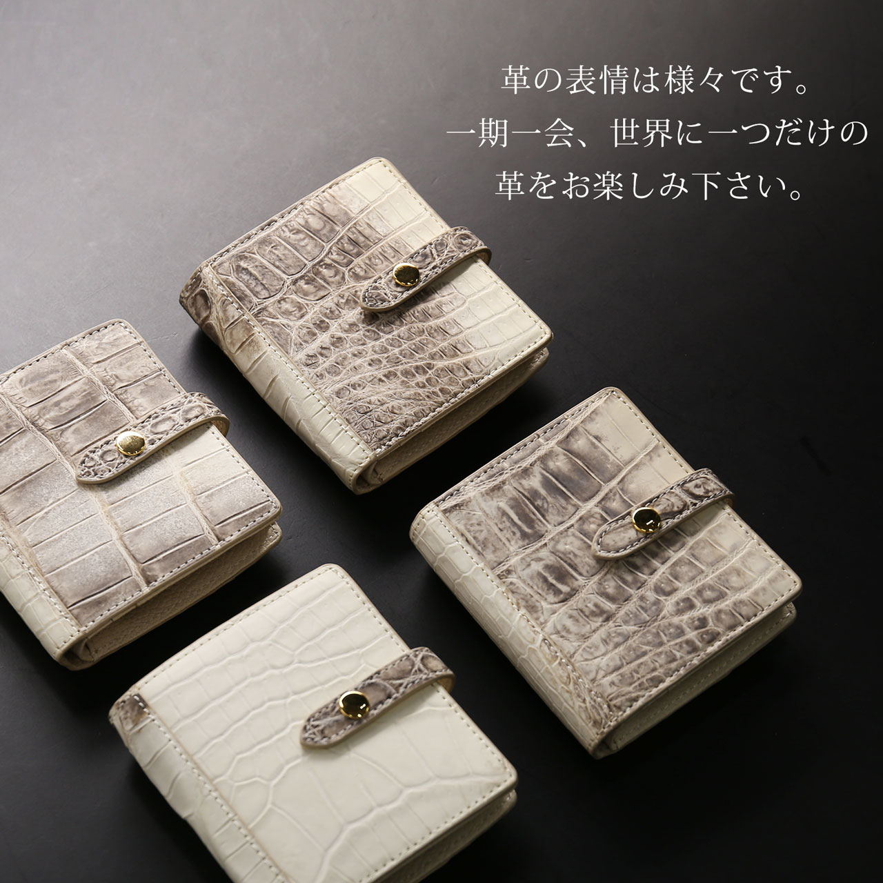 sankyo shokai（三京商会） [10%offクーポン]ヒマラヤ クロコダイル
