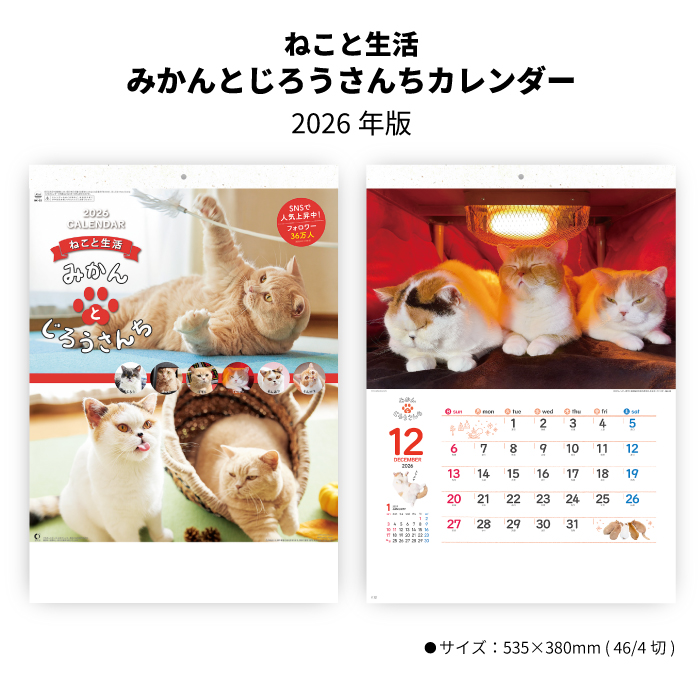 新日本カレンダー カレンダー 2026年 壁掛け ねこと生活 みかんと